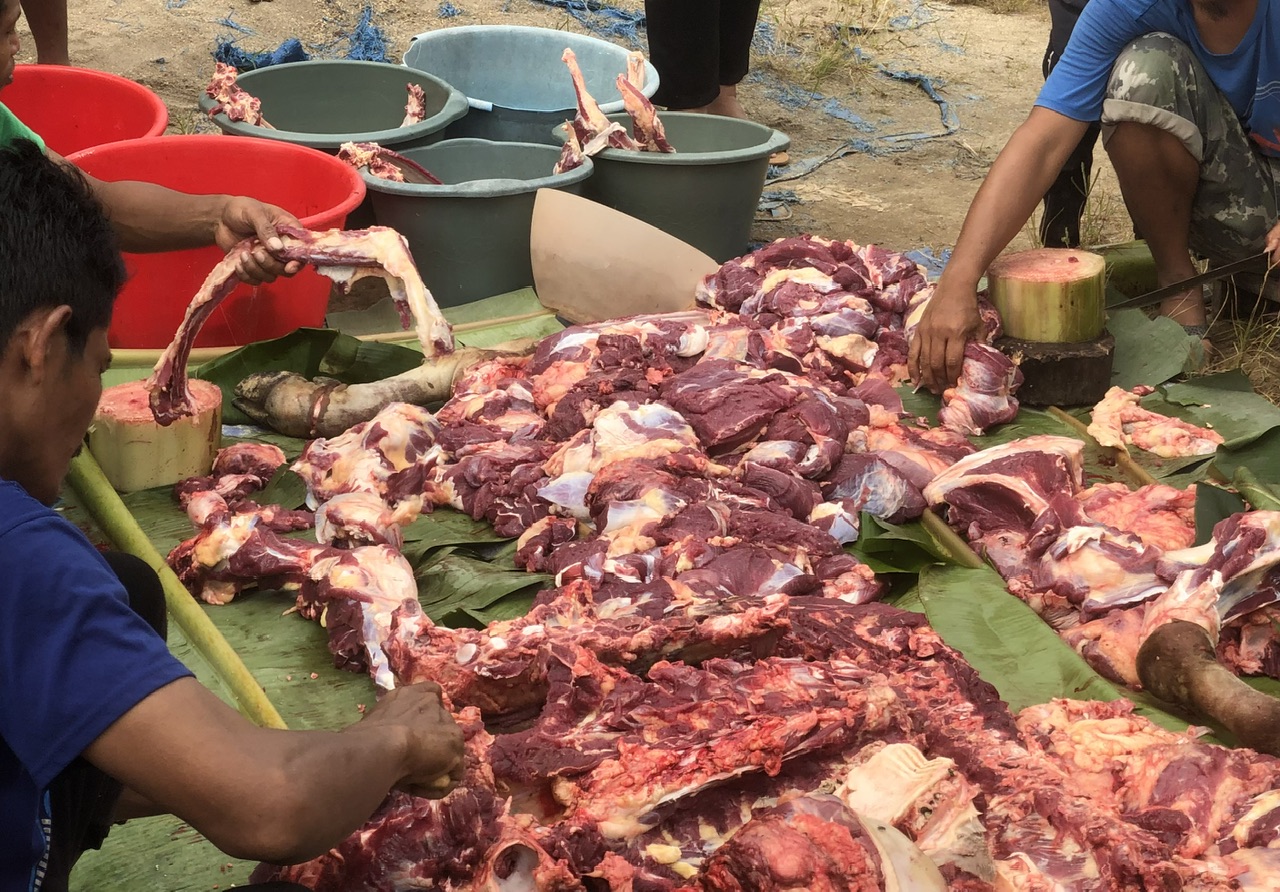 5 Cara Menyimpan Daging Kurban Di Kulkas Agar Tahan Lama Dan Tetap Segar