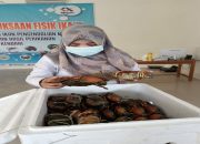 2021, Sultra Ekspor 25.300 Kepiting Bakau ke Singapura