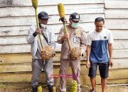 Karantina Pertanian Kendari Genjot Ekspor Porang Konawe Kepulauan