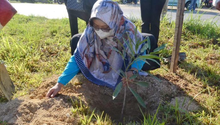 Peringati Hari Lingkungan Hidup, Pemkot-PKK Kendari Gelar Aksi Penanaman Pohon