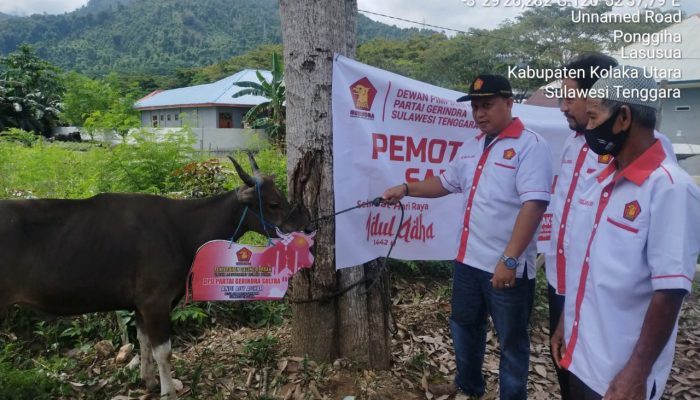 Moment Idul Adha, Gerindra dan ASR Kolaka Utara Berbagi Daging Kurban ke Warga