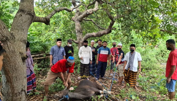 ASR dan Gerindra Baubau Berbagi Daging Kurban kepada warga