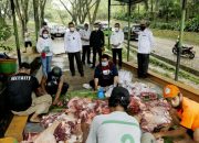 Petugas Kebersihan Kota Kendari Dapat Kurban 3 Ekor Sapi dari Wali Kota Sulkarnain