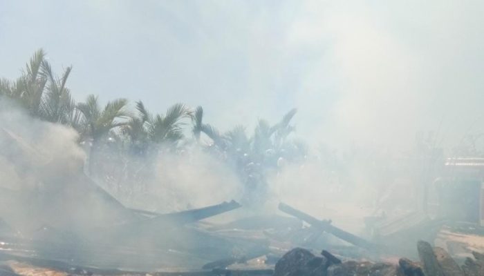 Hilangkan Bosan dan Ingin Dapat Pujian, Pemadam Kebakaran Bakar Hutan