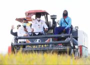 Kementan Perkuat Hilirisasi Pertanian di 14 Daerah, Sultra dapat 3 Kabupaten