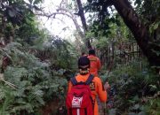 Seorang Wanita Hilang dalam Hutan di Konawe saat Mencari Kayu