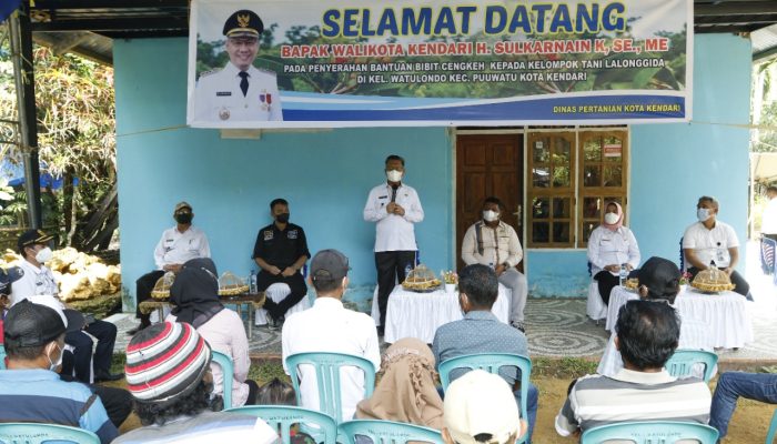 Ribuan Bibit Cengkeh Dibagikan Wali Kota Kendari kepada Petani