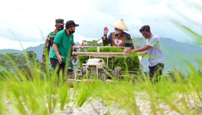 Upaya Wali Kota Sulkarnain Tingkat Produksi Pertanian di Kendari