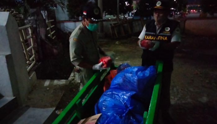 Karantina Pertanian Gagalkan Penyelundupan Daging Rusa Tanpa Dokumen di Baubau