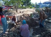 ASR Buton Selatan Sosialisasi Balon Gubernur di Kelurahan Masiri