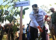 Gubernur Pimpin Aksi Penanaman Pohon Di kawasan Kolam Retensi Boulevard Kendari