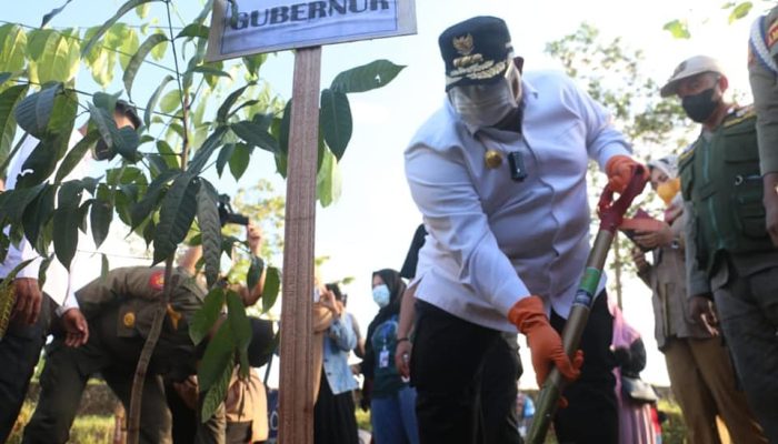 Gubernur Pimpin Aksi Penanaman Pohon Di kawasan Kolam Retensi Boulevard Kendari