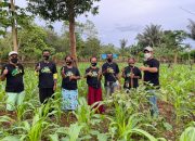 Di Muna, Relawan ASR Sambangi Para Petani Jagung
