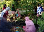 PT Vale Tingkatkan Kompetensi dan Dorong Kemandirian Masyarakat Kembangkan Melalui Program UKBM Herbal