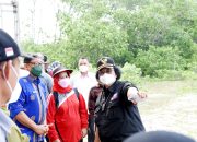 Jelang HPN 2022, Menteri LHK Siti Nurbaya Tinjau Lokasi Penaman 20.000 Mangrove di Teluk Kendari