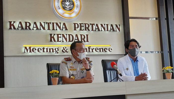 Karantina Kendari Mulai Perketat Pengawasan Penyebaran Penyakit Mulut dan Kuku Pada Ternak