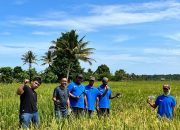 Didukung PT Vale, Milenial Pomalaa Melek Pertanian Organik