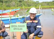 Peringati Hari Lingkungan Hidup dan HUT ke-54, ANTAM UBPN Kolaka Tanam 82.000 Pohon 