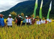 Petani Binaan PT Vale Panen Raya Sri Organik di Morowali