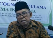 Jubir: Usulan Penjabat Gubernur Provinsi Baru di Papua Sudah Dikantongi Wapres