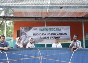 PT ANTAM Gagas Program Berdaya Bersama Menjaga Pesisir Pomalaa