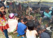 100 KPM di Pohara Konawe Dapat Bantuan Bibit Ayam Kampung