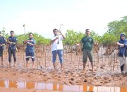 ANTAM dan KAPAL Kolaka Gelar Penanaman Mangrove dan Transplantasi Karang di Desa Hakatutobu