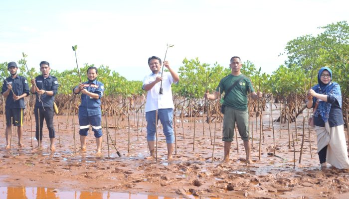 ANTAM dan KAPAL Kolaka Gelar Penanaman Mangrove dan Transplantasi Karang di Desa Hakatutobu