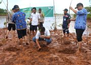 Pemda Kolaka Dukung Program Penanaman Mangrove ANTAM di Pomalaa