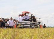 Diapresiasi Menteri Pertanian, Kolaka Timur jadi Penyangga Utama Kebutuhan Pangan Sultra