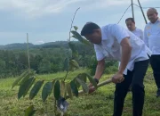 KSK Moeldoko: Durian Indonesia Bisa Jadi Komoditas Unggul di Pasar Dunia