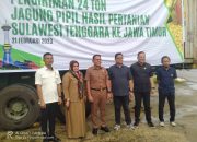 Misi Dagang Kadin Sultra Kirim 24 Ton Jagung Pipil ke Jatim