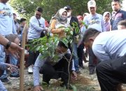 Pj Wali Kota dan Sekot Kendari Tanam Pohon di SMA 2 Kendari