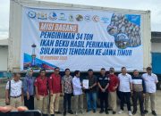 Kadin Sultra Ekspor 34 Ton ikan Beku Ke Jawa timur