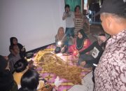 Lansia di Kendari Tewas Usai Tertimpa Pohon Jambu Mete