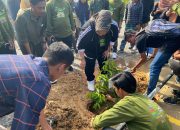 Road to Mubes ke-3 IKA Fisip UHO, 150 Bibit Pohon Ditanam Guna Melestarikan Kawasan Hijau