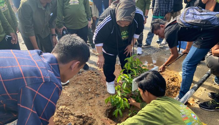 Road to Mubes ke-3 IKA Fisip UHO, 150 Bibit Pohon Ditanam Guna Melestarikan Kawasan Hijau