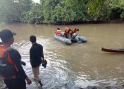 Dua Warga di Buton Utara Dikabarkan Hilang Diterkam Buaya, Satu Ditemukan Meninggal Dunia