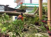 Pasca Diterpa Cuaca Ekstrem, BPBD Kota Kendari Bergerak Cepat Benahi Kota