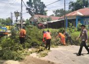 Satgas Penataan Kota Kendari Terus Lakukan Pemangkasan Pohon