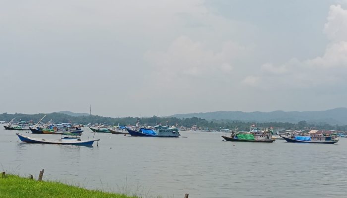 Nelayan Mudik, Harga Ikan di TPI Sodohoa Kendari Naik