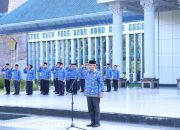 Wagub Sultra Pimpin Upacara Hari Kesadaran Nasional