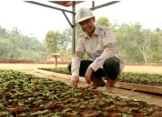 PT GKP Komitmen Penuh Implementasi Green Mining di Pulau Wawonii