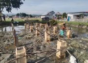 Bangun Gedung Serbaguna, Dewa Muara Sampara Manfaatkan Dana Desa