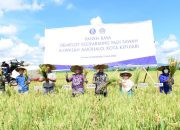 DPRD Kendari Dukung Upaya Pemkot Kembangkan Pertanian Organik