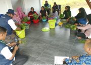 Dinas Pertanian Kendari Latih Pembuatan Elisitor Biosaka Terhadap Kelompok Tani di Labibia 
