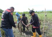 Pemkot Kendari Dukung Forum Sultra Damai Lestarikan Teluk Kendari