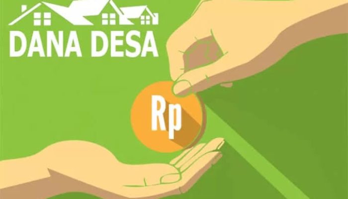 Kadis PMD Konawe Paparkan 3 Poin Penting dalam Penggunaan Dana Desa