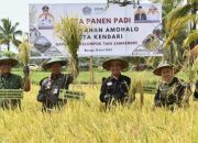 Panen Padi Sawa di Amohalo, Pj Wali Kota Kendari Siap Carikan Solusi yang Dikeluhkan Petani