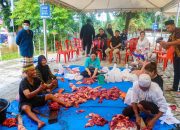 Idul Adha 1444 H, DPD Gerindra Sultra Kurban 5 Ekor Sapi